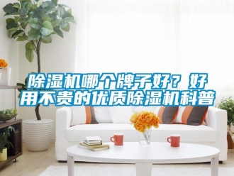 常見問題除濕機哪個牌子好？好用不貴的優質除濕機科普