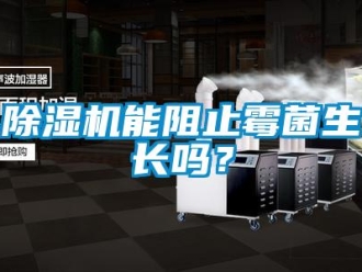 常見問題除濕機能阻止霉菌生長嗎？