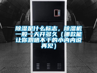 行業新聞除濕是什么標志，除濕機一般一天開多久（哪款能讓你跟曬不干的小內內說再見）