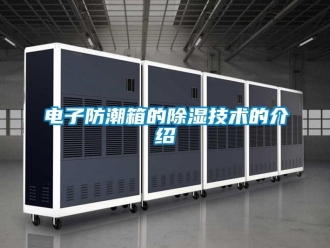 常見問題電子防潮箱的除濕技術的介紹