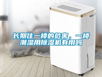 行業新聞長期住一樓的危害，一樓潮濕用除濕機有用嗎