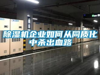 常見問題除濕機企業如何從同質化中殺出血路
