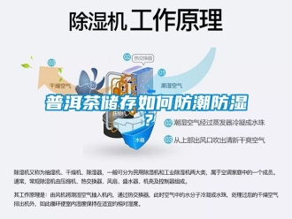 常見問題普洱茶儲存如何防潮防濕？