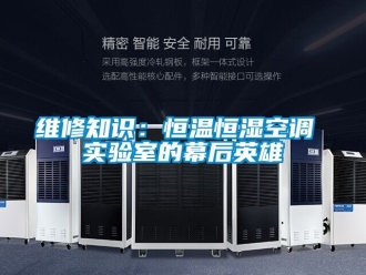 知識百科維修知識：恒溫恒濕空調(diào) 實(shí)驗(yàn)室的幕后英雄