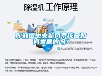 常見問題你知道中央新風(fēng)系統(tǒng)是如何發(fā)展的嗎？