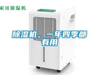 常見問題除濕機，一年四季都有用