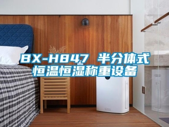 常見問題BX-H847 半分體式恒溫恒濕稱重設備