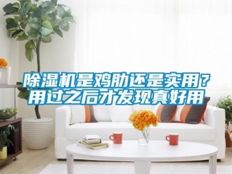 行業(yè)新聞除濕機是雞肋還是實用？用過之后才發(fā)現真好用