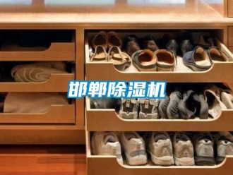 行業(yè)新聞邯鄲除濕機