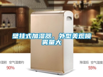 常見問題壁掛式加濕器，外型美觀噴霧量大