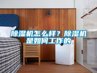行業(yè)新聞除濕機怎么樣？除濕機是如何工作的