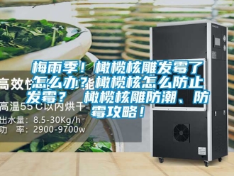 常見(jiàn)問(wèn)題梅雨季！橄欖核雕發(fā)霉了怎么辦？橄欖核怎么防止發(fā)霉？ 橄欖核雕防潮、防霉攻略！