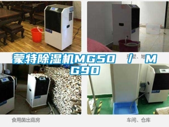 行業新聞蒙特除濕機MG50 ／ MG90
