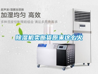 常見問題除濕機賣斷貨原來這么火
