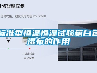 常見問題標準型恒溫恒濕試驗箱白色濕布的作用