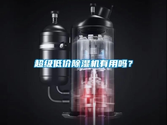 常見問題超級低價(jià)除濕機(jī)有用嗎？