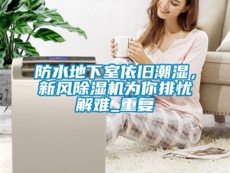 常見問題防水地下室依舊潮濕，新風(fēng)除濕機(jī)為你排憂解難_重復(fù)
