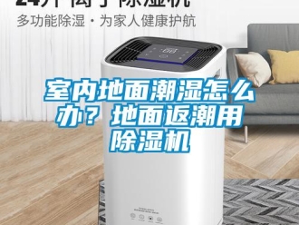 常見(jiàn)問(wèn)題室內(nèi)地面潮濕怎么辦？地面返潮用除濕機(jī)