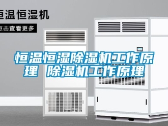 知識百科恒溫恒濕除濕機工作原理 除濕機工作原理