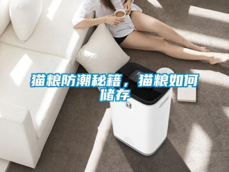 常見問題貓糧防潮秘籍，貓糧如何儲存