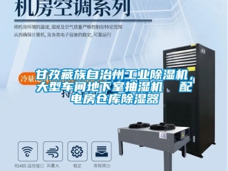 常見問題甘孜藏族自治州工業除濕機，大型車間地下室抽濕機  配電房倉庫除濕器