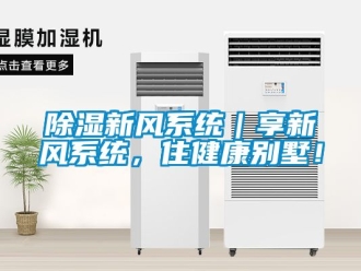 行業新聞除濕新風系統｜享新風系統，住健康別墅！