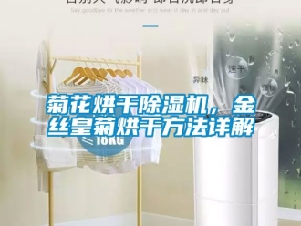 行業(yè)新聞菊花烘干除濕機(jī)，金絲皇菊烘干方法詳解