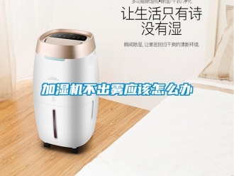 常見問題加濕機不出霧應該怎么辦
