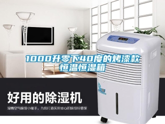 常見問題1000升零下40度的烤漆款恒溫恒濕箱