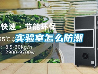 常見(jiàn)問(wèn)題實(shí)驗(yàn)室怎么防潮