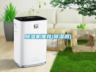 行業(yè)新聞除濕機推薦(除濕器)