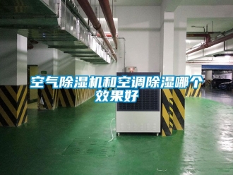 行業新聞空氣除濕機和空調除濕哪個效果好