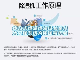 知識(shí)百科步入式恒溫恒濕試驗(yàn)室八大安保系統(tǒng)為你保駕護(hù)航