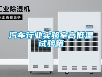 常見問題汽車行業實驗室高低溫試驗箱
