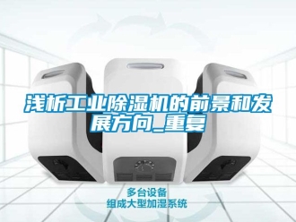 常見問題淺析工業除濕機的前景和發展方向_重復