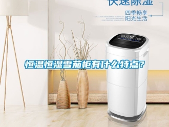 知識百科恒溫恒濕雪茄柜有什么特點？