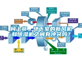 常見問題問上帝，地下室的新風機和除濕機之間有沖突嗎？