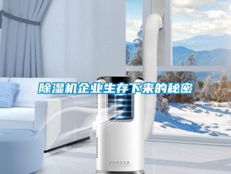 常見問題除濕機企業生存下來的秘密