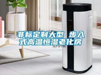 知識(shí)百科非標(biāo)定制大型 步入式高溫恒濕老化房