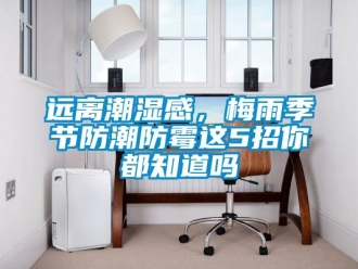 常見問題遠(yuǎn)離潮濕感，梅雨季節(jié)防潮防霉這5招你都知道嗎