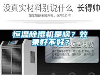 知識百科恒溫除濕機是啥？效果好不好？