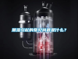 常見(jiàn)問(wèn)題潮濕引起的常見(jiàn)問(wèn)題是什么？