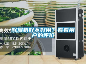 常見問題除濕機好不好用？看看用戶的評價