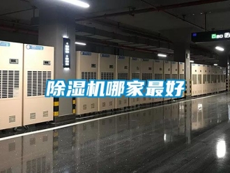 行業(yè)新聞除濕機哪家最好