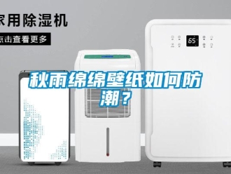 常見問題秋雨綿綿壁紙如何防潮？