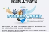 跨年度的陰雨，潮濕來(lái)襲
