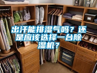 常見問題出汗能排濕氣嗎？還是應(yīng)該選擇一臺除濕機？