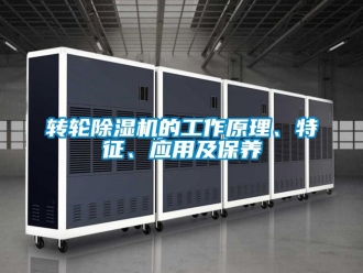 常見問題轉輪除濕機的工作原理、特征、應用及保養
