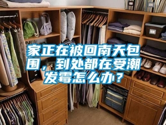 常見問題家正在被回南天包圍，到處都在受潮發(fā)霉怎么辦？