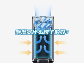 行業(yè)新聞除濕器什么牌子的好？